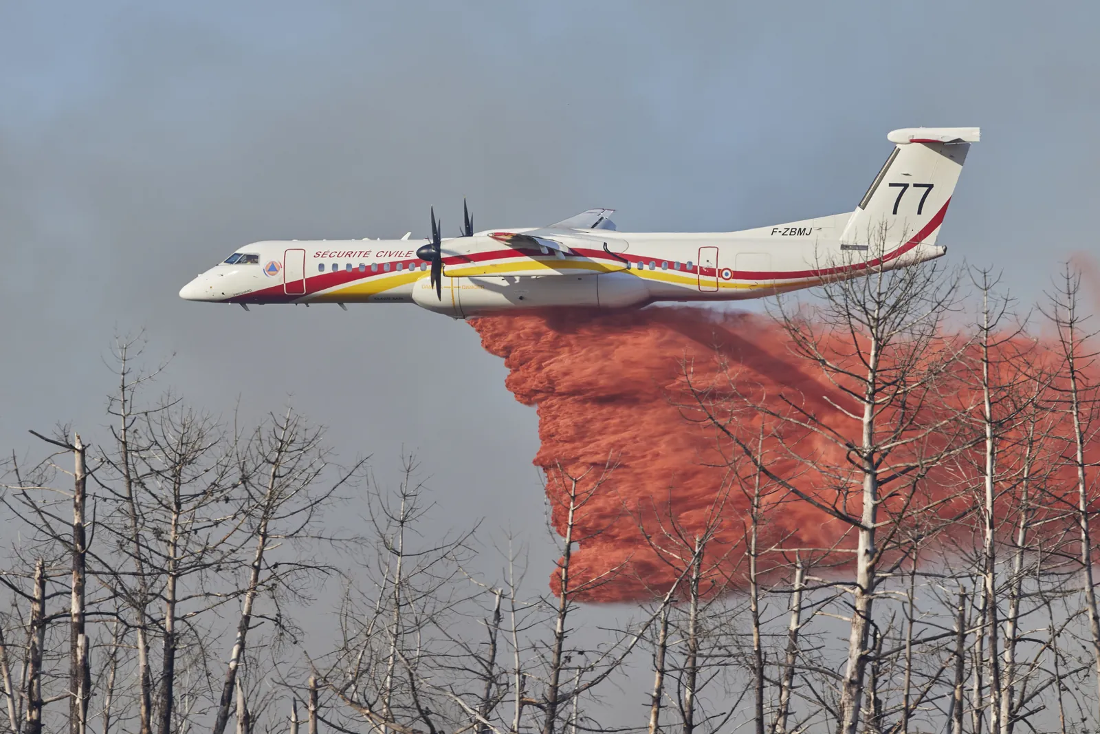 Un avion bombardier d'eau de la Sécurité civile largue du produit retardant orange au-dessus de pins calcinés, pendant les incendies de Gironde. Photo © Loïc Arbraz.