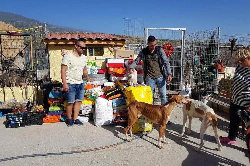 Deux bénévoles déchargent et trient un important lot de dons (sacs de croquettes, cartons, matériel) dans la cour d'un refuge, entourés de chiens.